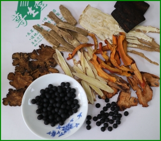 壯筋續骨丸