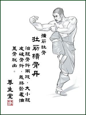 壯筋續骨丸