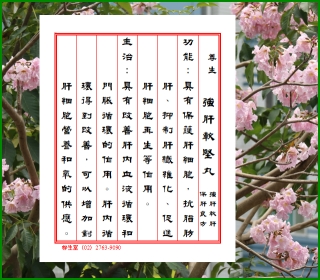 強肝軟堅丸