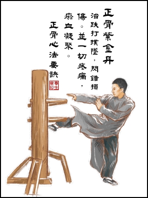 正骨紫金丹