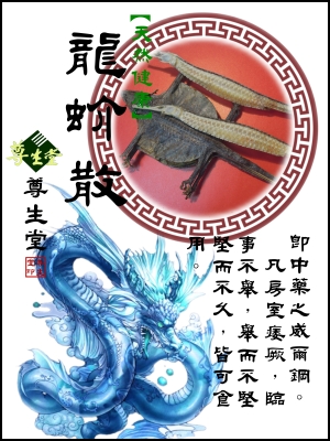 龍蚧散