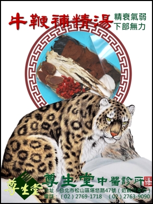 牛鞭補精湯